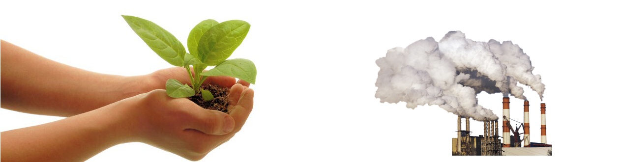 بهداشت محیط