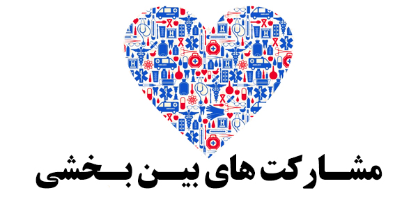 مشارکت بین بخشی